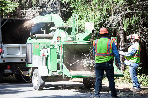 Mulching Services in Paulsboro, NJ